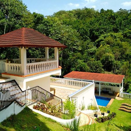 Villa Celeste Estate コンセプシオン・デ・ラ・ベガ エクステリア 写真